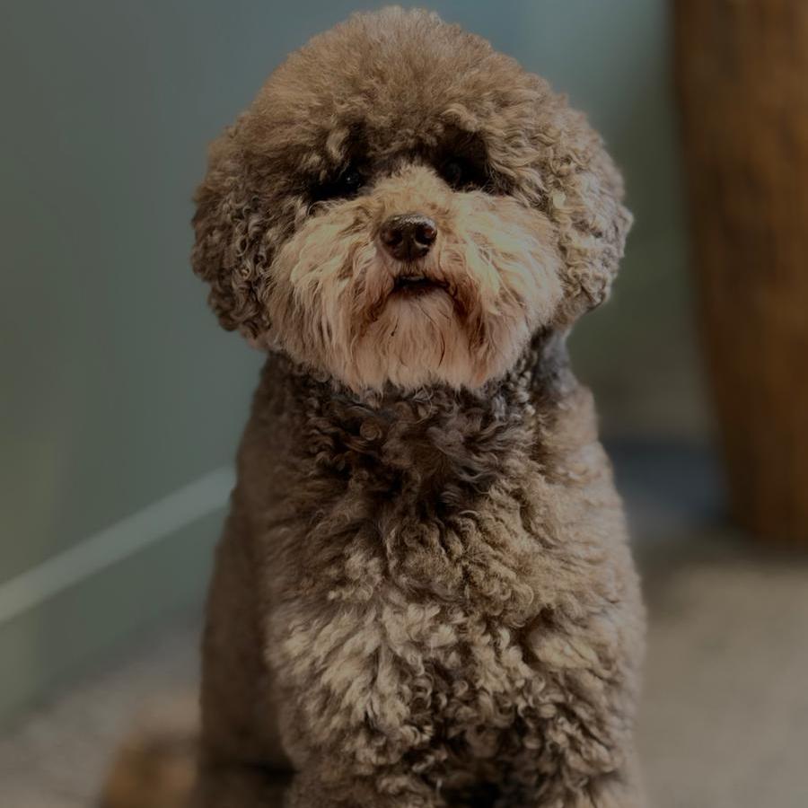 Jip – Floormanager